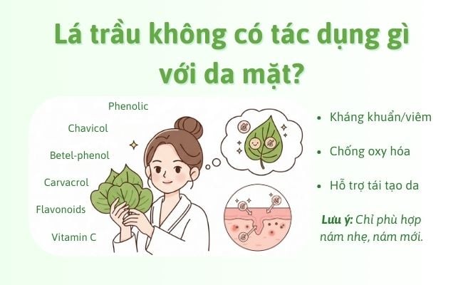 Lá trầu không có tác dụng gì với da mặt?