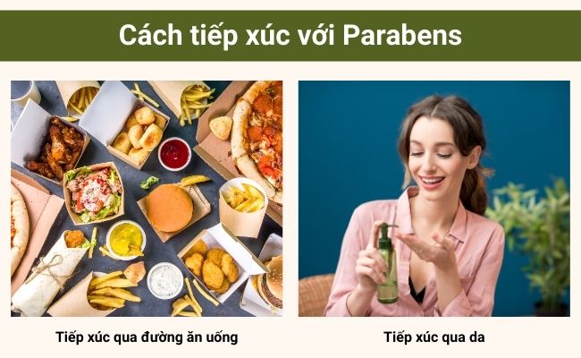 Cách tiếp xúc với Parabens