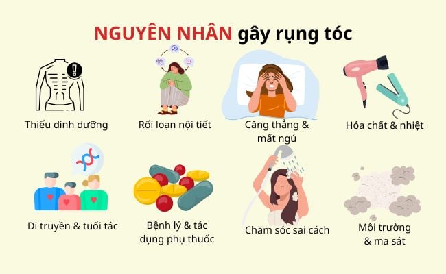Nguyên nhân gây rụng tóc và cách khắc phục để tóc mọc nhanh