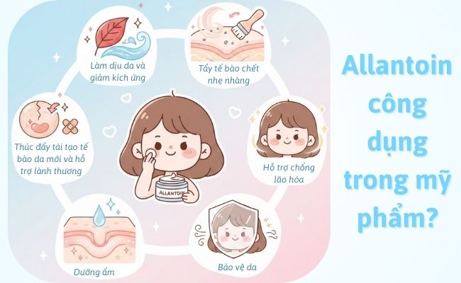 Allantoin công dụng trong mỹ phẩm?