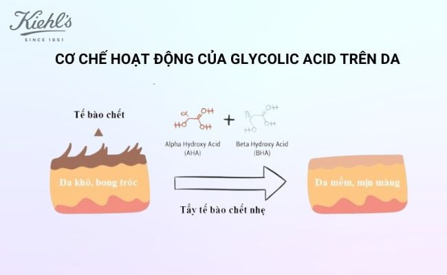 Glycolic Acid có khả năng tẩy tế bào chết trên da tốt hơn các loại acid khác cùng họ
