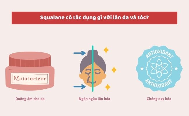 Squalane có tác dụng gì với làn da và tóc?