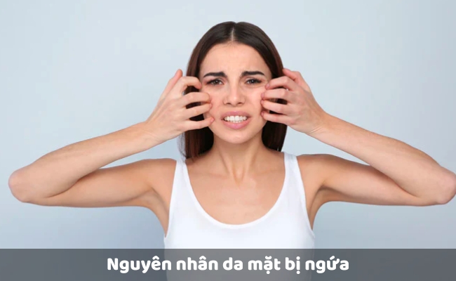 Da mặt bị ngứa do dị ứng thời tiết