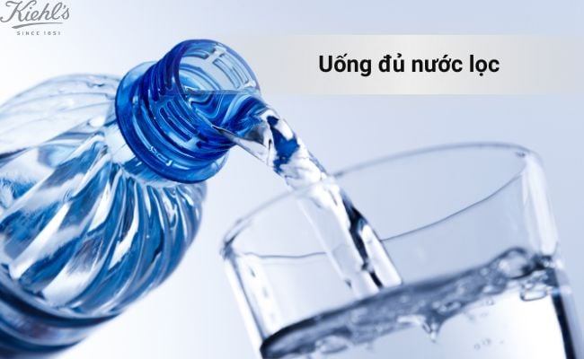 Uống nước lọc giúp gan hoạt động tốt hơn