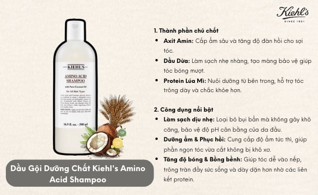 Dầu gội dưỡng chất Amino Acid