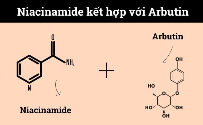 niacinamide kết hợp với arbutin
