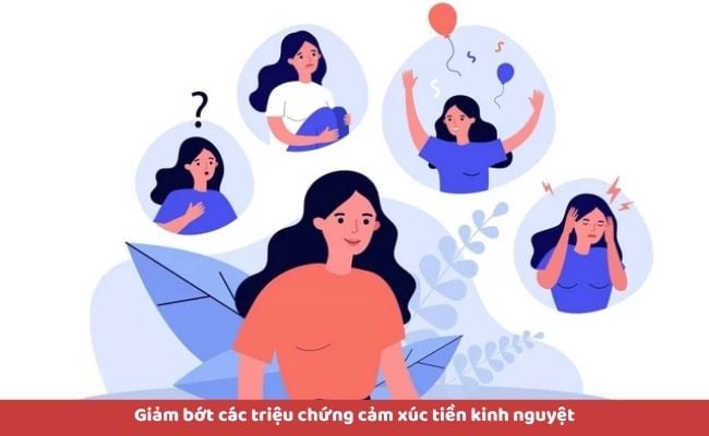 Tinh dầu hoa oải hương có tác dụng gì?