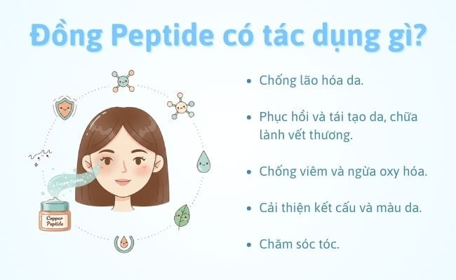 Đồng Peptide có tác dụng gì?
