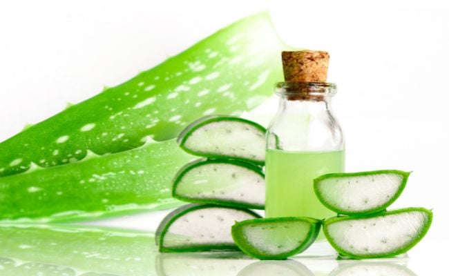 aloe vera là gì