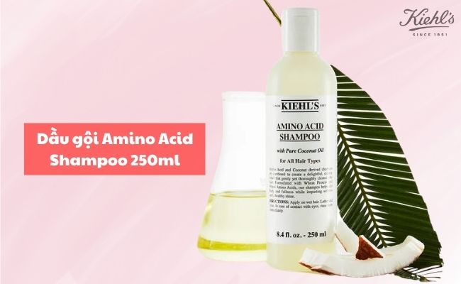 Dầu gội ngăn rụng tóc, kích thích mọc tóc cho nữ Amino Acid Shampoo 250ml