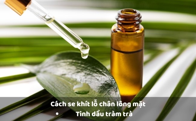 Tinh dầu tràm trà

