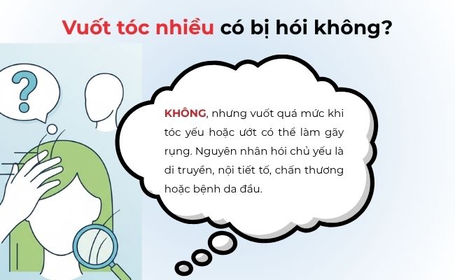 Vuốt tóc nhiều có bị hói không?