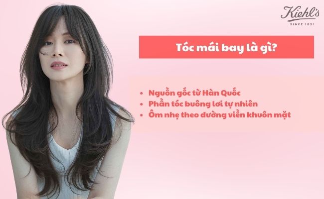 Tóc mái bay là gì?