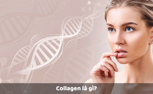 Collagen là gì? 