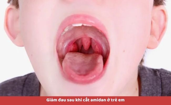 Tinh dầu hoa oải hương có tác dụng gì?