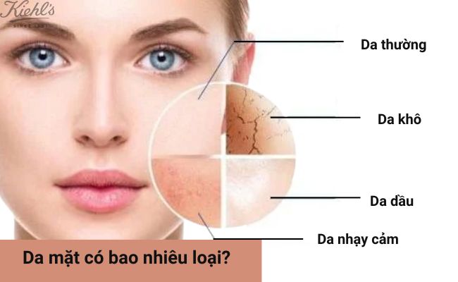 Da có bao nhiêu loại?