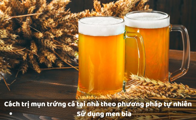 Ttrij mụn bằng men bia