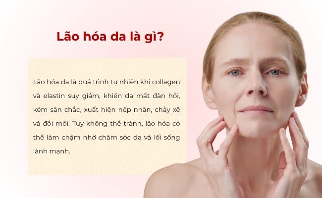 Lão hóa da là gì?