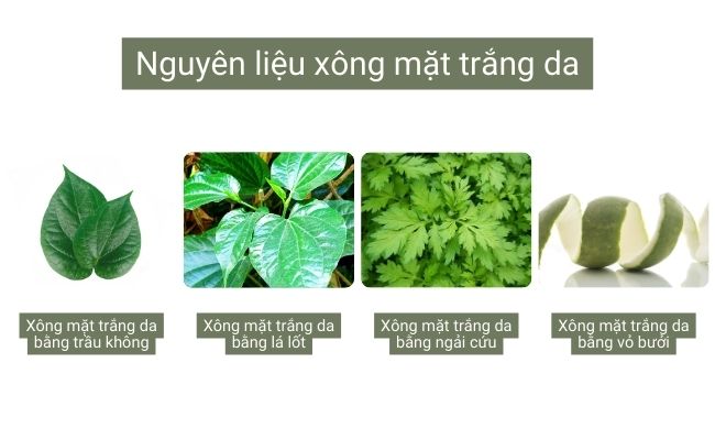 Nguyên liệu xông mặt trắng da gồm lá trầu không, lá lốt, ngải cứu và vỏ bưởi