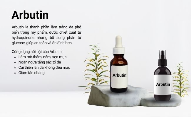 Arbutin là thành phần làm trắng da phổ biến trong mỹ phẩm
