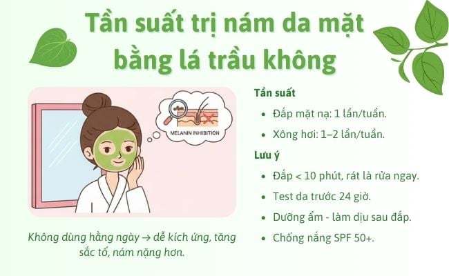 Tần suất trị nám da mặt bằng lá trầu không