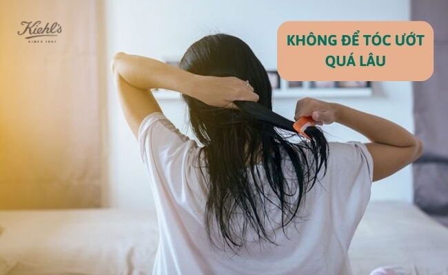 15 Cách mọc tóc nhanh tại nhà trong 1 tuần