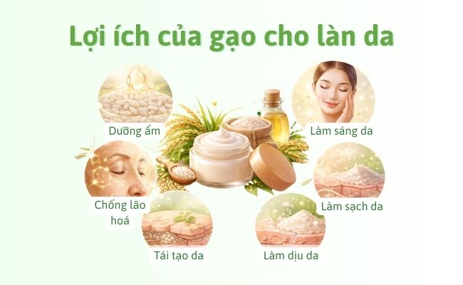 Lợi ích của gạo cho làn da