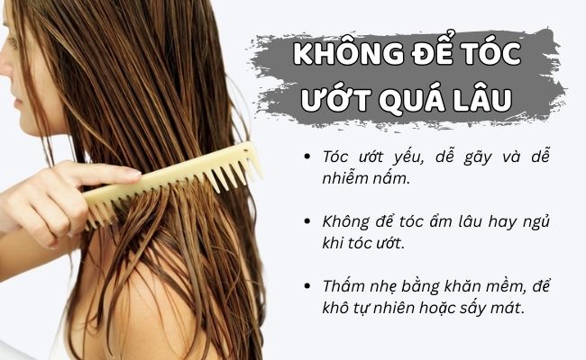15 Cách mọc tóc nhanh tại nhà trong 1 tuần