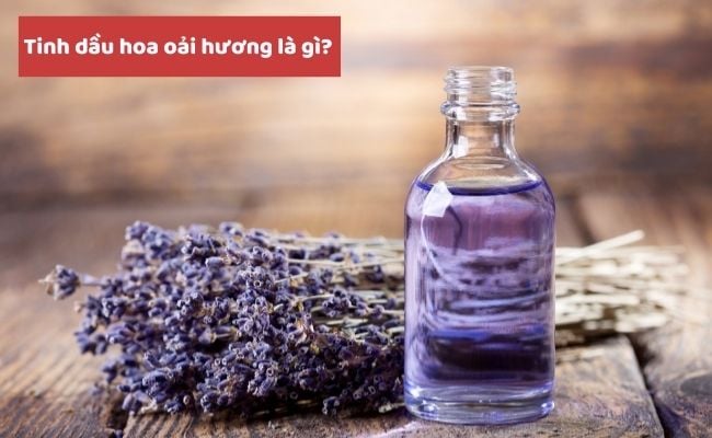 Tinh dầu hoa oải hương là gì?