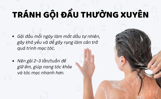 15 Cách mọc tóc nhanh tại nhà trong 1 tuần