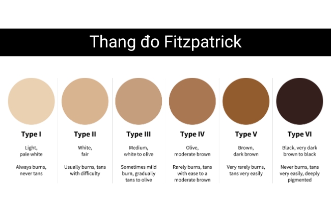Thang đo Fitzpatrick
