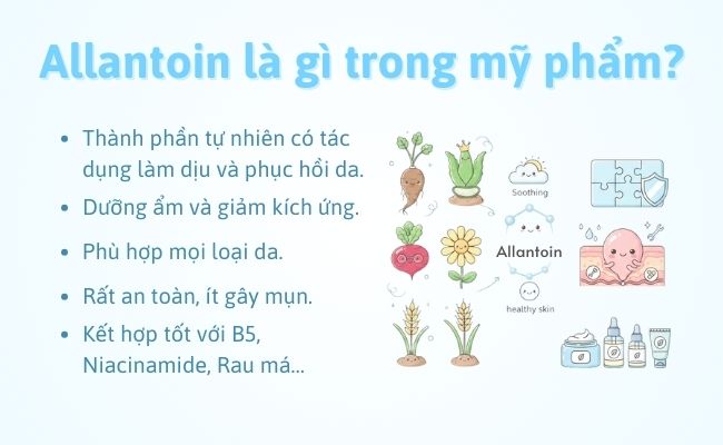 Allantoin là gì trong mỹ phẩm?