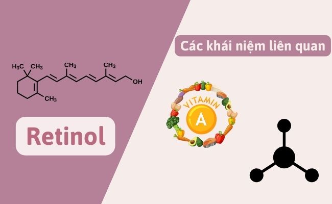 So sánh Retinol với các khái niệm liên quan