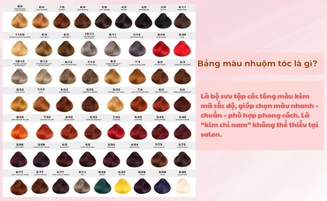 Bảng màu nhuộm tóc là gì