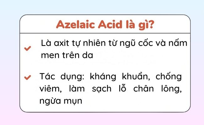 Azelaic Acid là gì?
