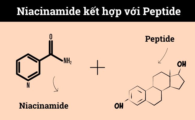 Niacinamide kết hợp với Peptide