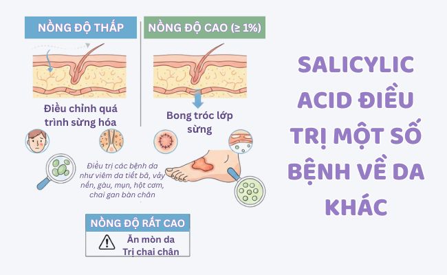 Công dụng của Salicylic Acid là gì?