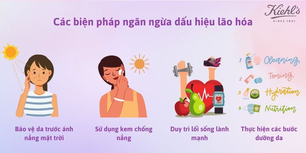 Các biện pháp ngăn ngừa dấu hiệu lão hóa
