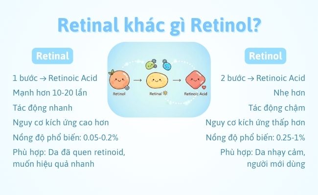 Retinol và Retinal khác nhau thế nào?