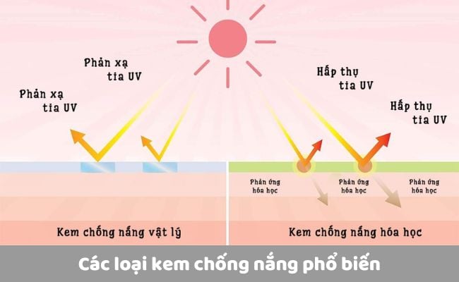 Các loại kem chống nắng phổ biến