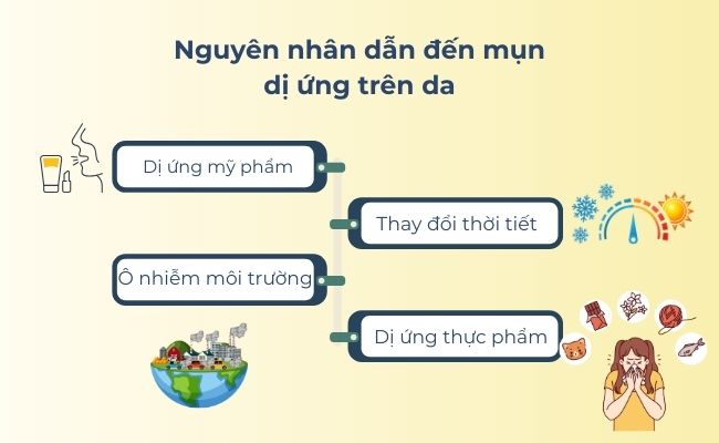 Nổi mụn do dị ứng với thực phẩm