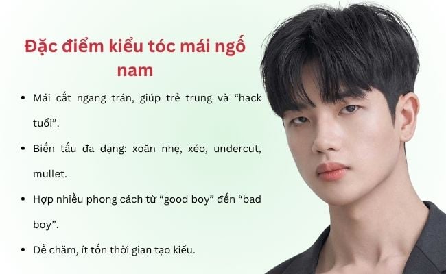 Đặc điểm kiểu tóc mái ngố nam