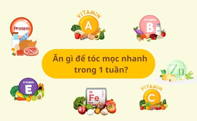 Ăn gì để tóc mọc nhanh trong 1 tuần?