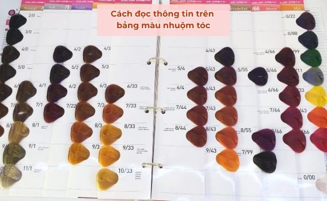 Cách đọc thông tin trên bảng màu nhuộm tóc đúng chuẩn