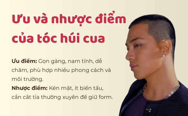 Ưu và nhược điểm của tóc húi cua
