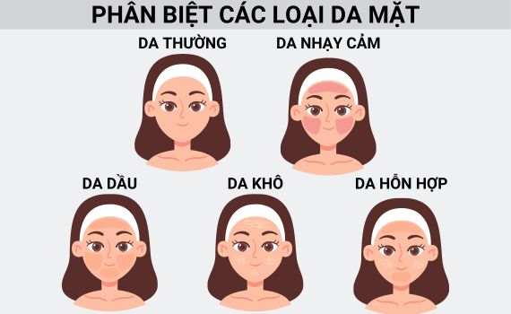 Hình ảnh minh họa về phân biệt các loại da
