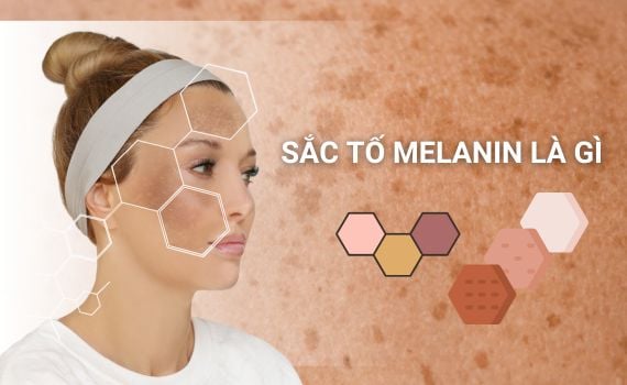 Hình ảnh minh họa về sắc tố melanin