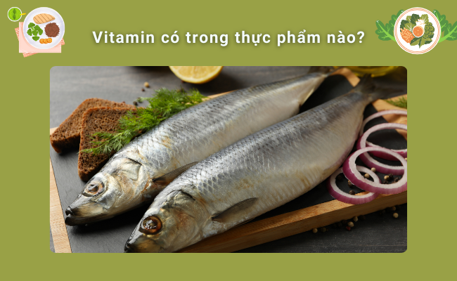 Cá trích là một loại cá béo chứa nhiều vitamin A
