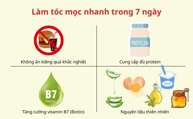 Làm tóc mọc nhanh trong 7 ngày đơn giản, hiệu quả