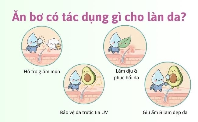 Ăn bơ có tác dụng gì cho làn da?